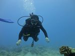 Hawaii Scuba divng 24