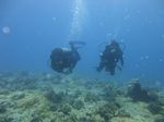 Hawaii Scuba divng 26