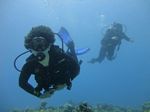 Hawaii Scuba divng 27