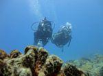 Hawaii Scuba divng 31