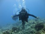 Hawaii Scuba divng 38