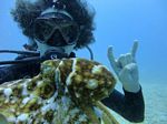 Hawaii Scuba divng 43