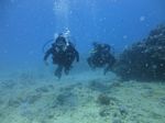 Hawaii Scuba divng 64