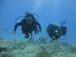 Hawaii Scuba divng 65