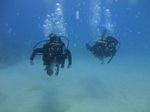 Hawaii Scuba divng 66