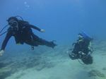 Hawaii Scuba divng 69