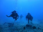 Hawaii scuba 11