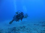 Hawaii scuba 18