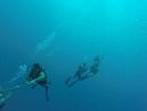 Hawaii Scuba divng 10