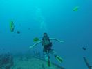 Hawaii Scuba divng 14