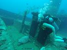 Hawaii Scuba divng 21