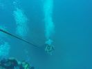 Hawaii Scuba divng 51