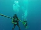 Hawaii Scuba divng 52