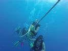 Hawaii Scuba divng 56