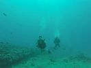 Hawaii Scuba divng 57