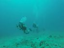 Hawaii Scuba divng 57