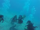 Hawaii Scuba divng 60