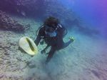 Hawaii Scuba divng 11