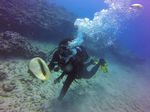 Hawaii Scuba divng 12