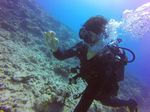 Hawaii Scuba divng 13