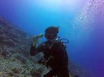 Hawaii Scuba divng 14