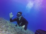 Hawaii Scuba divng 17