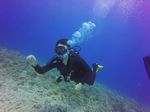 Hawaii Scuba divng 18