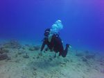 Hawaii Scuba divng 19