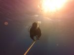 Hawaii Scuba divng 01