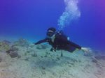 Hawaii Scuba divng 20