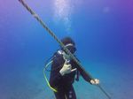 Hawaii Scuba divng 21