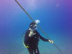 Hawaii Scuba divng 22