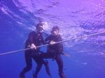 Hawaii Scuba divng 23