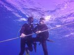 Hawaii Scuba divng 24