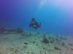 Hawaii Scuba divng 28