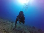 Hawaii Scuba divng 29
