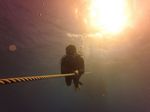 Hawaii Scuba divng 02