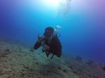 Hawaii Scuba divng 30