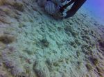 Hawaii Scuba divng 32