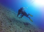 Hawaii Scuba divng 33