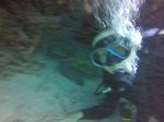 Hawaii Scuba divng 34