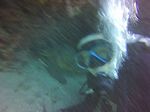 Hawaii Scuba divng 35