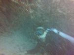 Hawaii Scuba divng 36