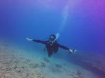 Hawaii Scuba divng 37