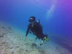 Hawaii Scuba divng 39