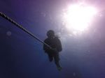 Hawaii Scuba divng 03