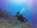 Hawaii Scuba divng 07