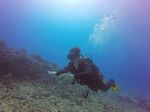 Hawaii Scuba divng 08