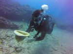 Hawaii Scuba divng 09