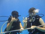 Oahu scuba 10